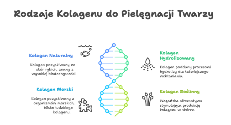 Grafika: rodzaje kolagenów na twarz