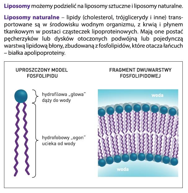 Liposomy naturalne