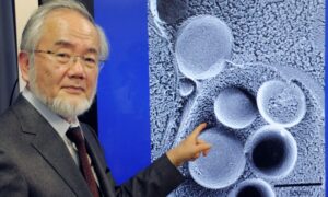 Yoshinori Ohsumi i autofagia nobel