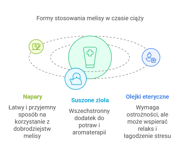 zastosowanie - melisa