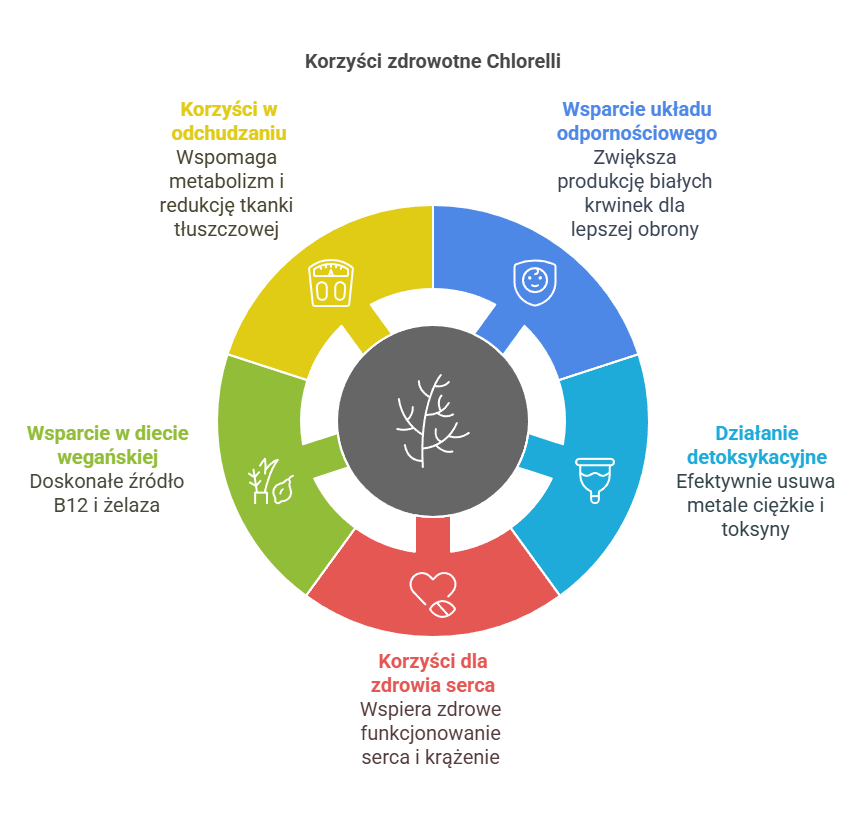 korzyści z przyjmowania chlorelli