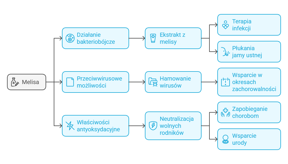 melisa właściwości