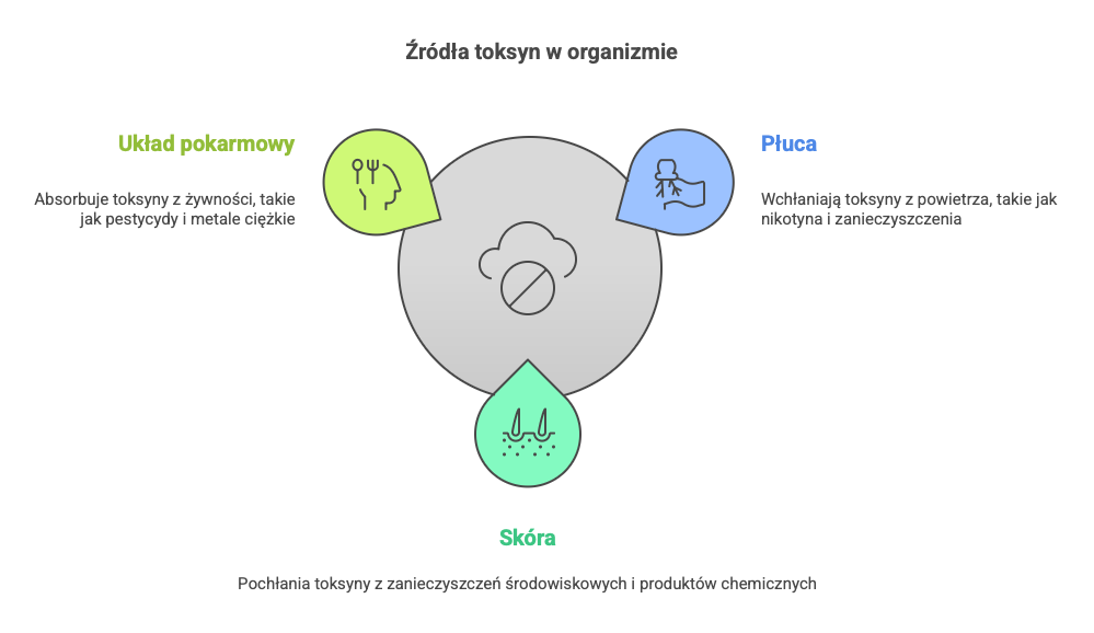 Źródła toksyn w organizmie