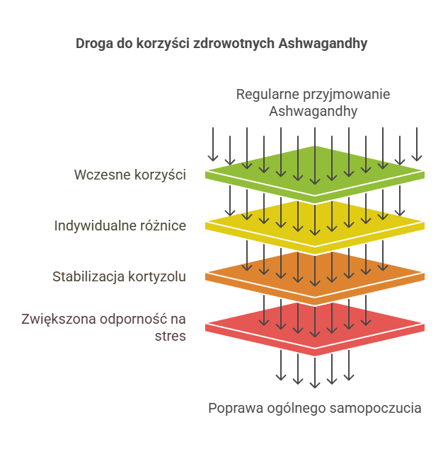 regularne stosowanie ashwagandhy