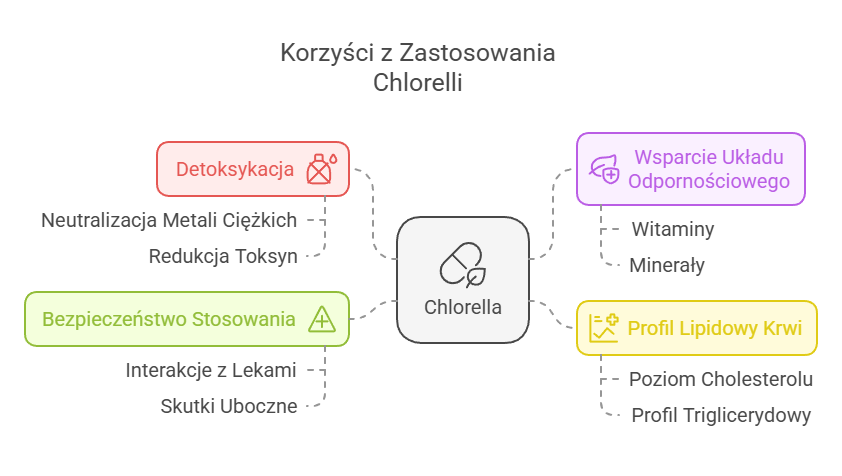 chlorella korzyści