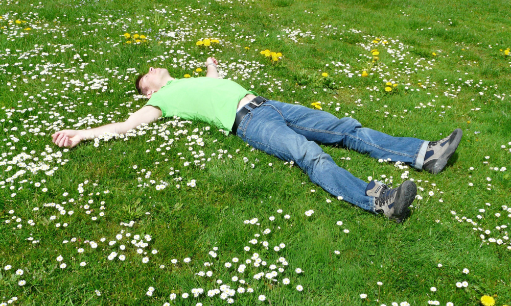 mężczyzna na łące