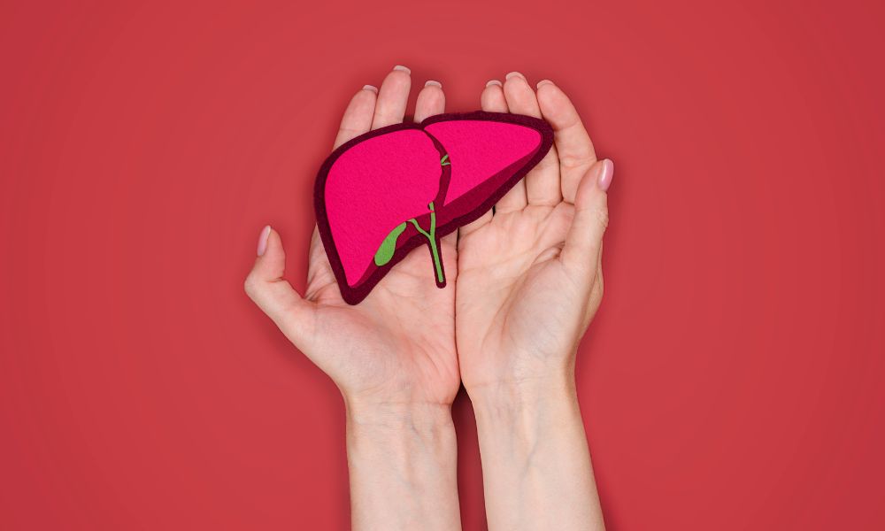 Symbol wątroby trzymany w rękach