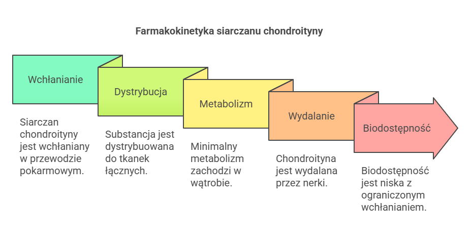 Farmakokinetyka siarczanu chondroityny 