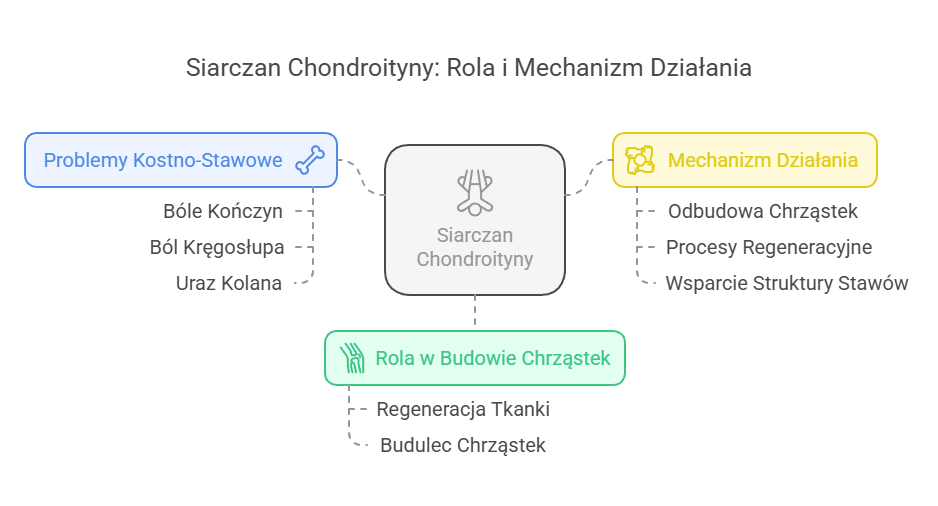 działanie siarczanu chondroityny