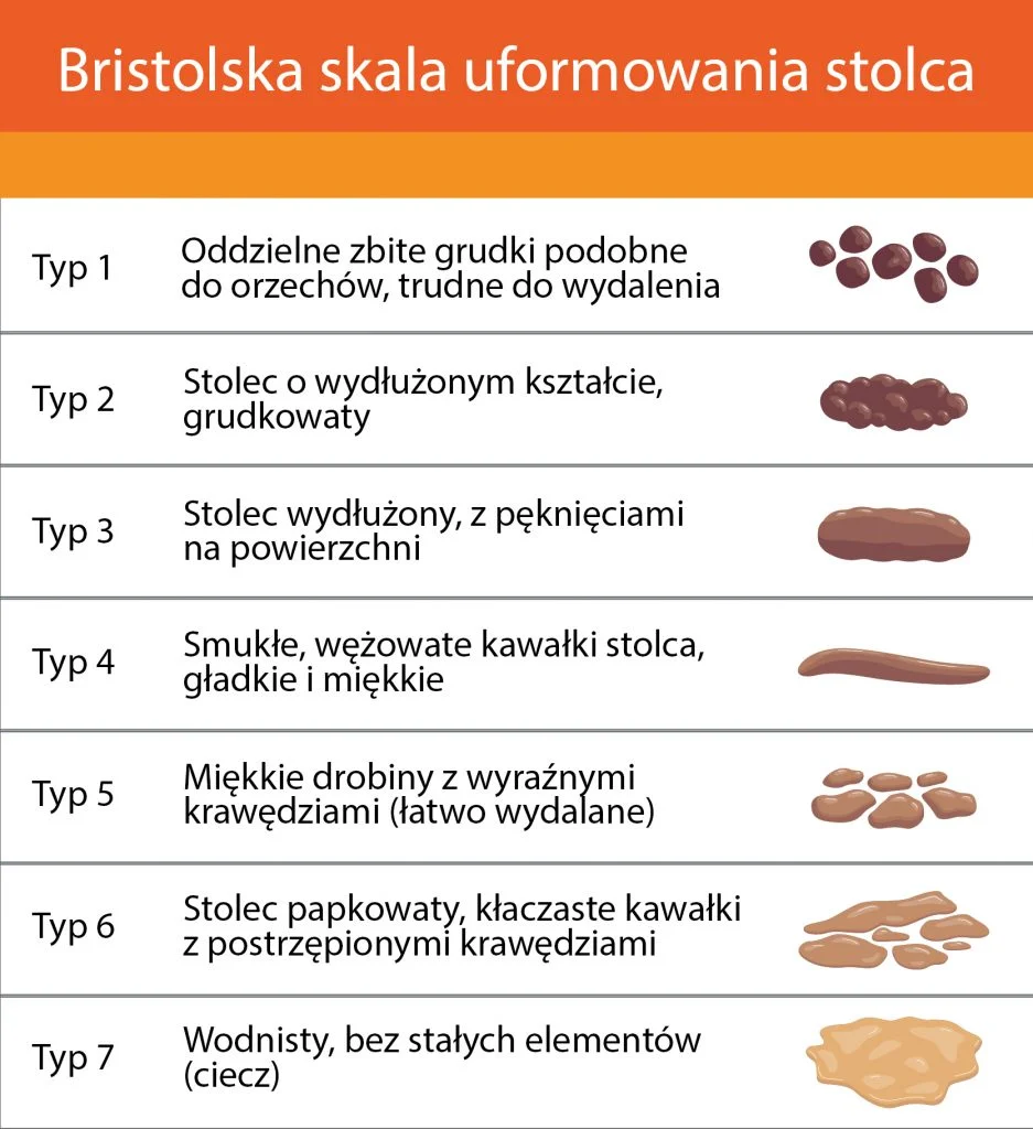 bristolska skala stolca infografika