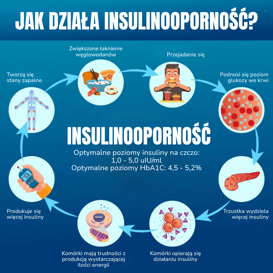jak działa insulinooporność