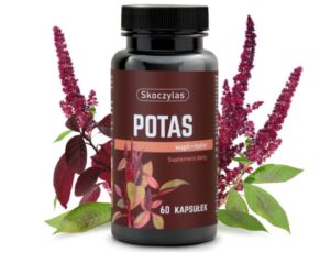 potas wapń fosfor skoczylas