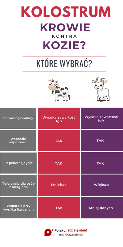 Colostrum krowie czy kozie - infografika