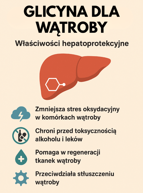 Glicyna dla wątroby infografika