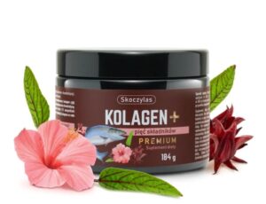 kolagen premium od dr skoczylasa