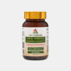 Ostropest Plamisty 600 mg - Bio Herbs, 80 kapsułek