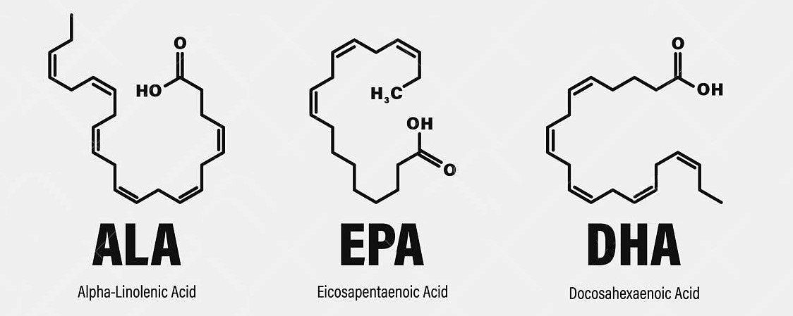 Infografika: molekuły omega-3