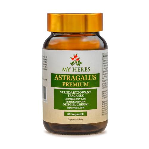 Astragalus - Traganek Błoniasty i Dzięgiel Chiński 60 kaps. - My Herbs